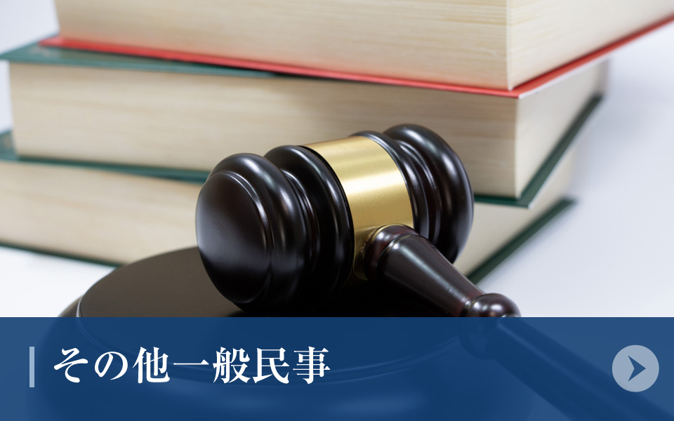 その他一般民事